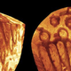 Image for article titled This Is the World's Oldest Sperm